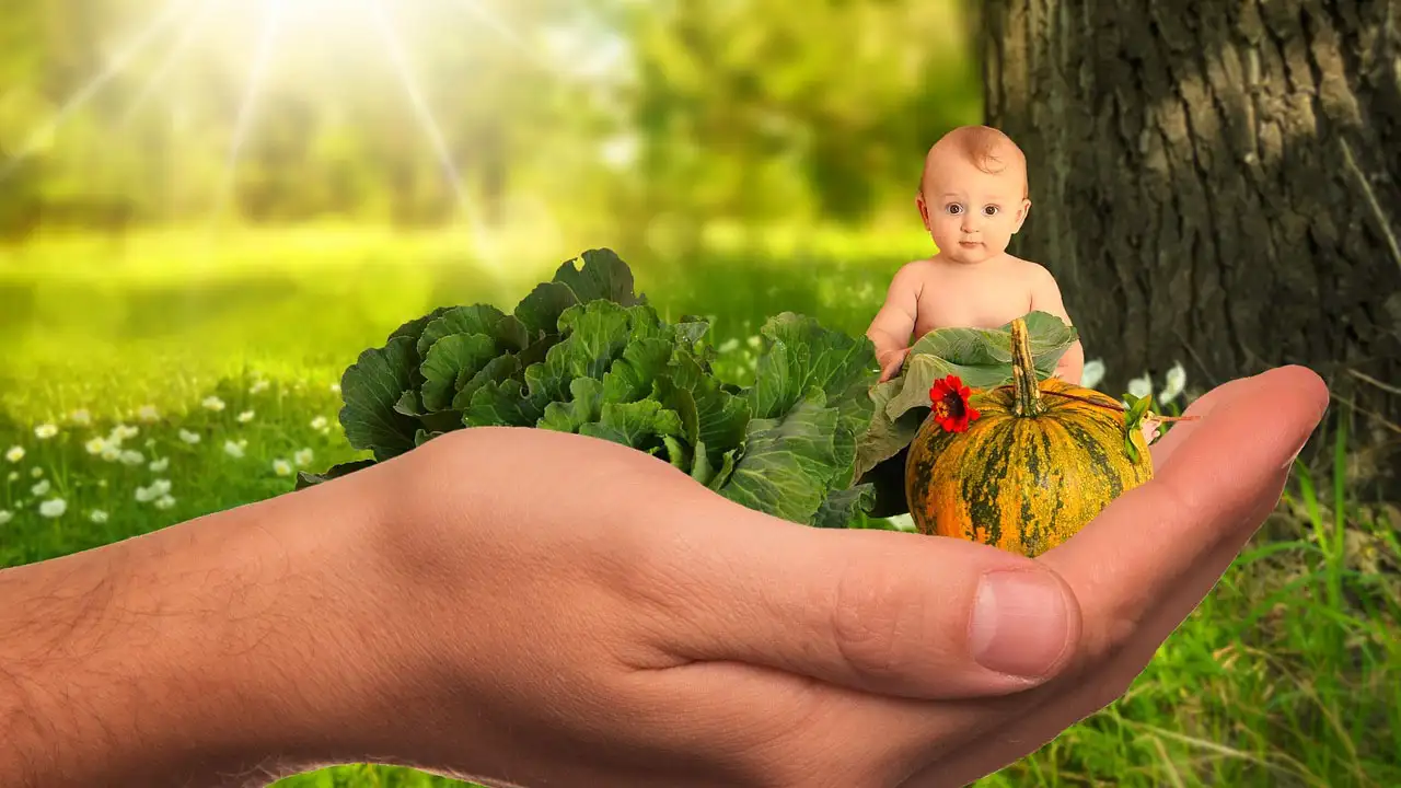 ALIMENTOS QUE PROMUEVEN EL CRECIMIENTO EN NIÑOS